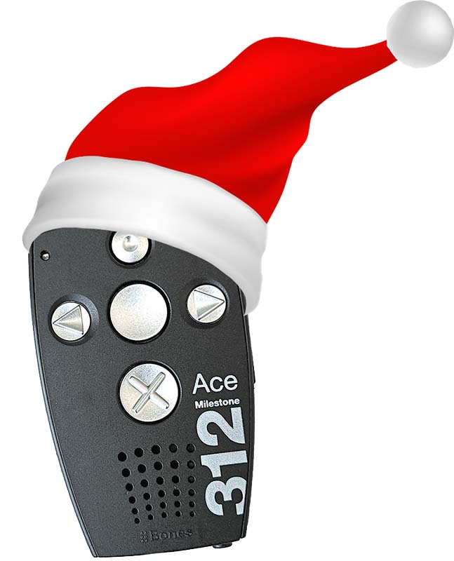 Milestone mit Weihnachtsmütze