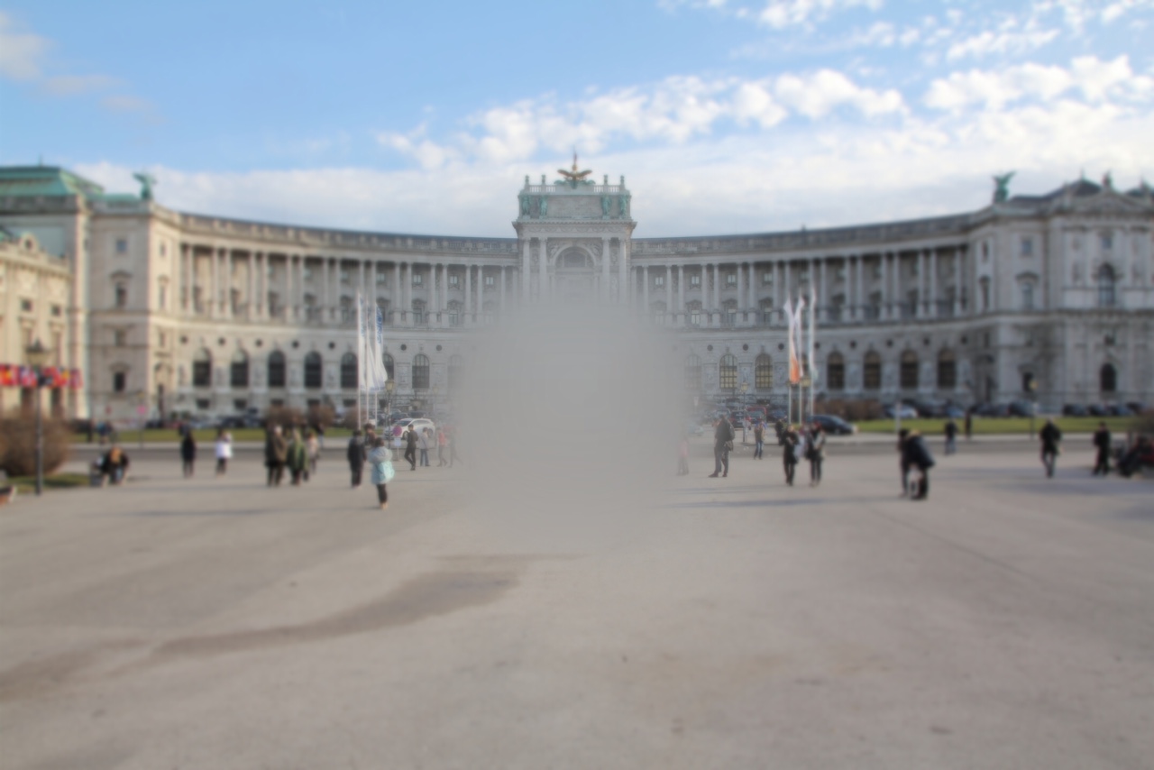 Die Hofburg mit Zapfen-Stäbchen-Dystrophie