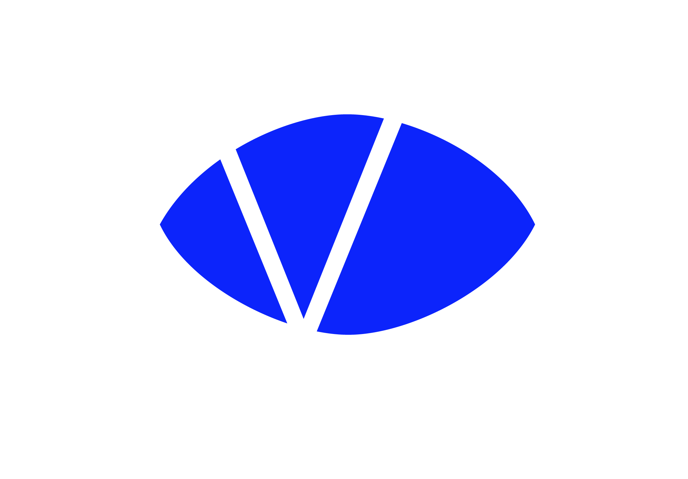 VIDEBIS Logo