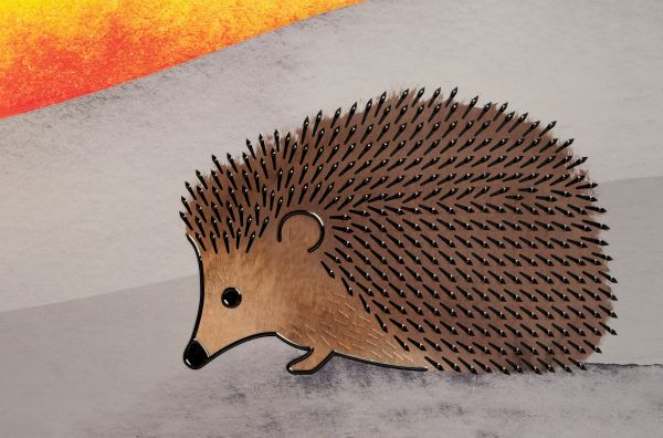 Abbildung Igel